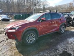 Lexus salvage cars for sale: 2021 Lexus NX 300 Base