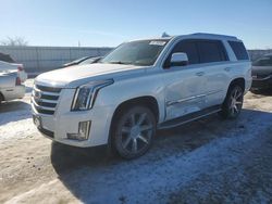 Cadillac salvage cars for sale: 2016 Cadillac Escalade Luxury