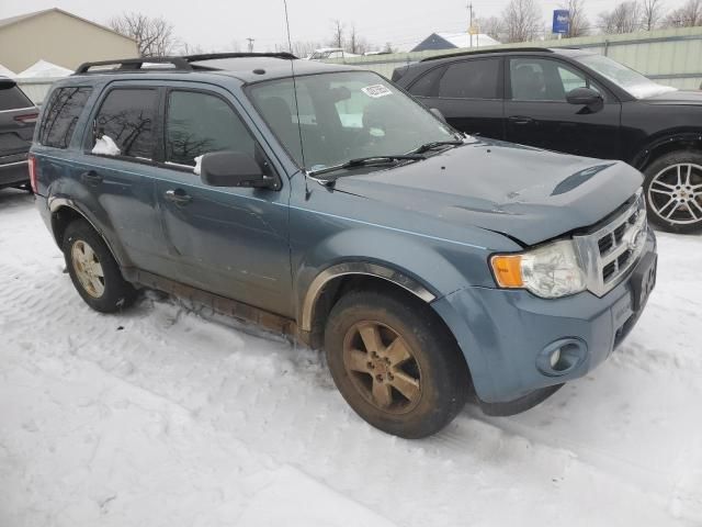 2012 Ford Escape XLT