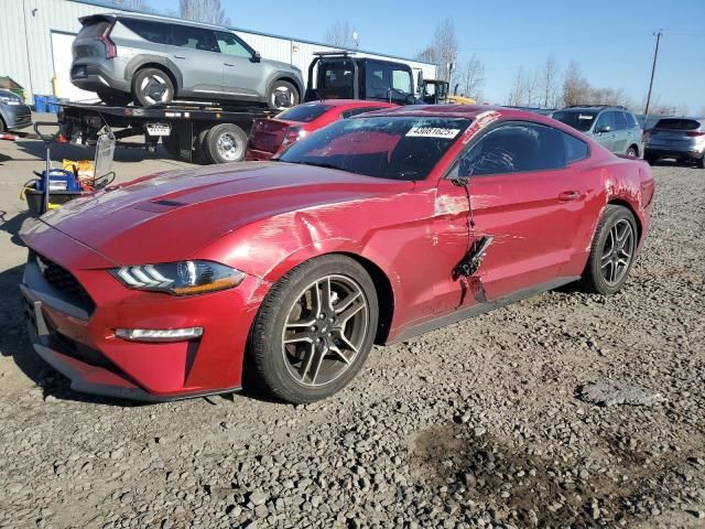 2021 Ford Mustang