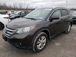 Salvage cars for sale from Copart Leroy, NY: 2013 Honda CR-V EXL