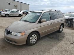 Honda Vehiculos salvage en venta: 2004 Honda Odyssey EX