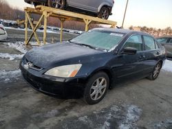 Honda salvage cars for sale: 2003 Honda Accord EX