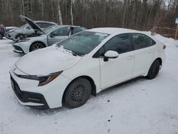 Toyota Corolla salvage cars for sale: 2020 Toyota Corolla SE