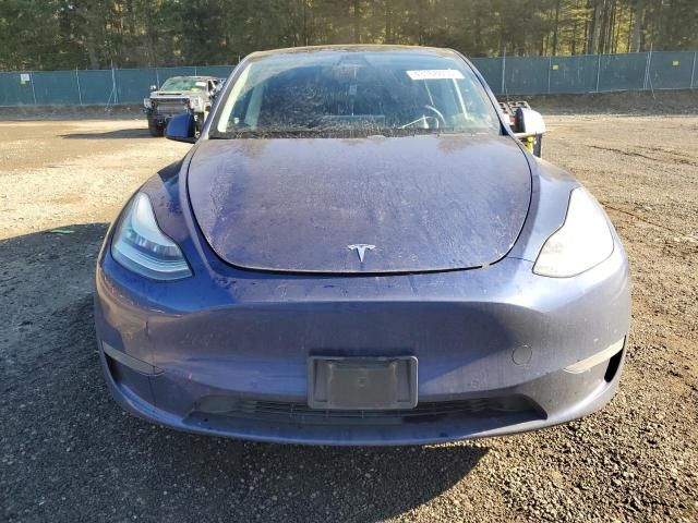 2020 Tesla Model Y