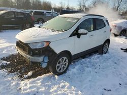 Ford Ecosport salvage cars for sale: 2019 Ford Ecosport SE