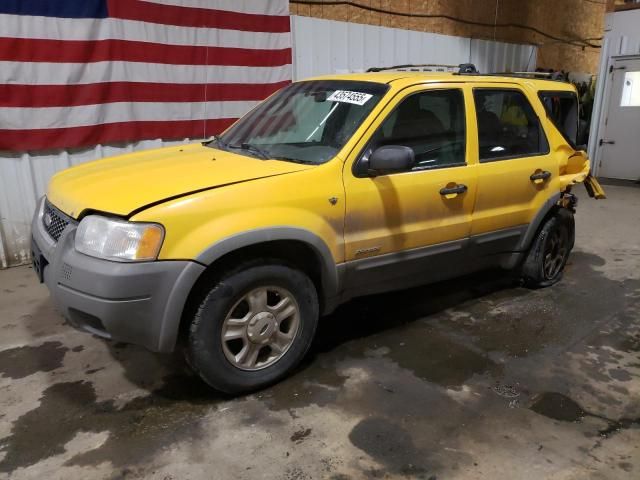 2001 Ford Escape XLT