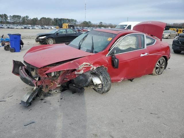 2010 Honda Accord EXL