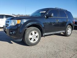 Ford salvage cars for sale: 2012 Ford Escape XLT