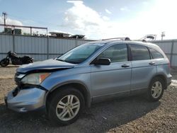 Honda crv salvage cars for sale: 2010 Honda CR-V EX