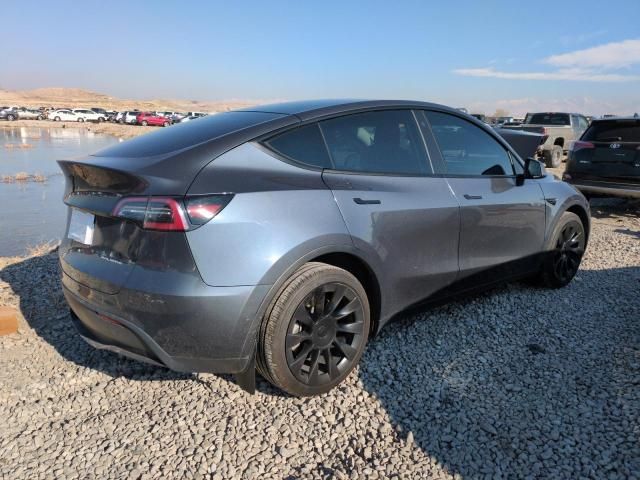 2020 Tesla Model Y