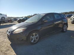 2014 Ford Focus SE en venta en Anderson, CA