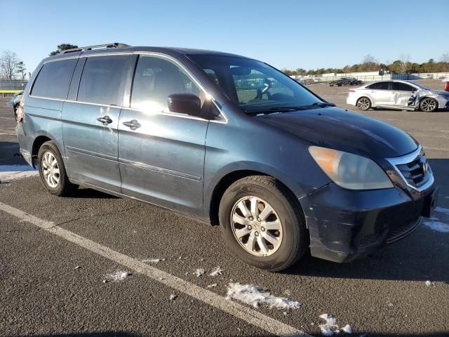 2010 Honda Odyssey EXL