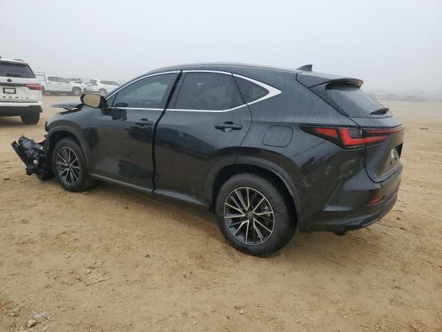 2024 Lexus NX 350H Base