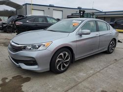 Honda Accord salvage cars for sale: 2017 Honda Accord EXL