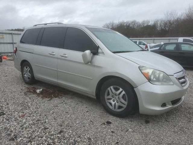 2005 Honda Odyssey EXL