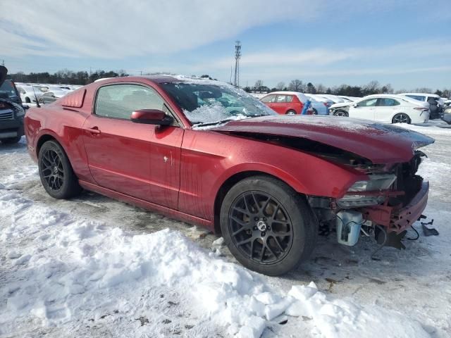 2014 Ford Mustang