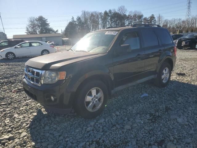 2012 Ford Escape XLT