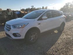 Ford salvage cars for sale: 2019 Ford Escape SE