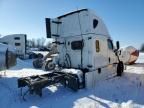 2023 Freightliner Cascadia 126