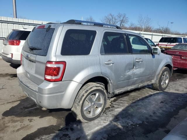 2010 Ford Escape Limited