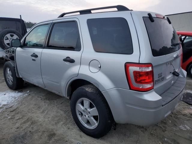 2011 Ford Escape XLT