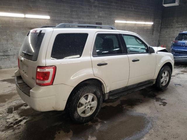 2010 Ford Escape XLT