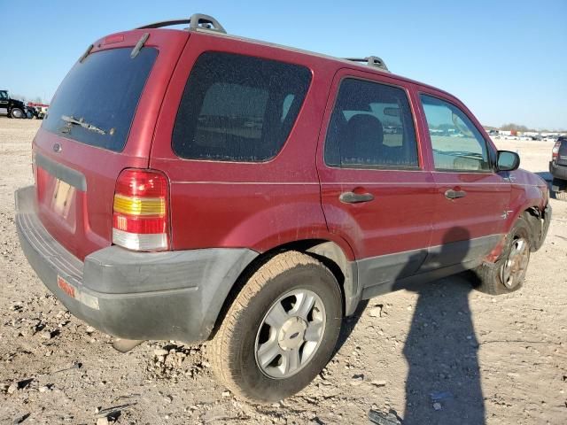 2004 Ford Escape XLT