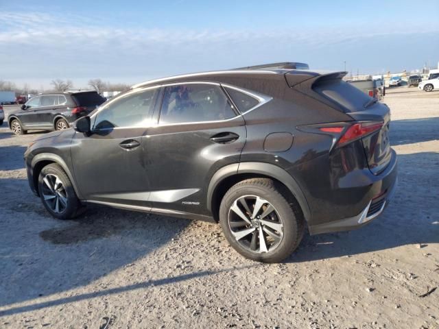 2020 Lexus NX 300H