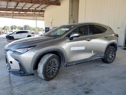 2024 Lexus NX 250 Premium en venta en Homestead, FL