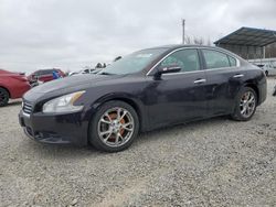 Nissan salvage cars for sale: 2014 Nissan Maxima S