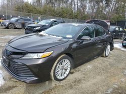 Toyota Camry salvage cars for sale: 2020 Toyota Camry XLE