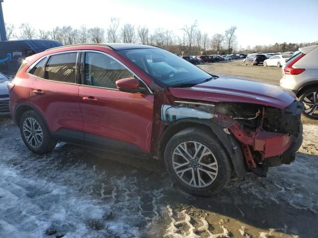 2021 Ford Escape SEL