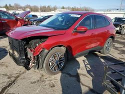 Ford Escape sel salvage cars for sale: 2022 Ford Escape SEL