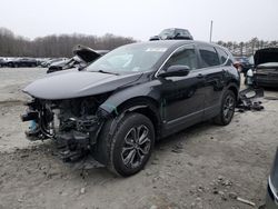 Honda salvage cars for sale: 2020 Honda CR-V EX