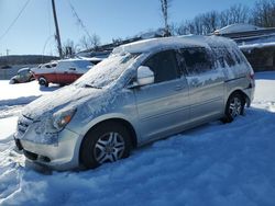 Salvage cars for sale from Copart Marlboro, NY: 2006 Honda Odyssey EX