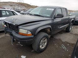 2003 Dodge Dakota Quad Sport for sale in Littleton, CO