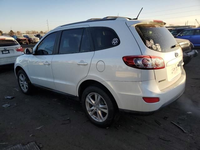 2010 Hyundai Santa FE SE