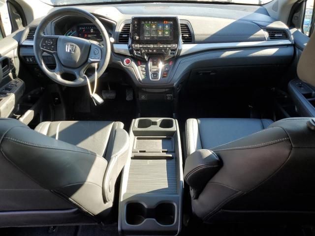 2023 Honda Odyssey EXL