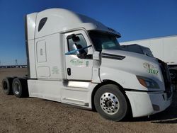 Freightliner Cascadia 126 salvage cars for sale: 2019 Freightliner Cascadia 126