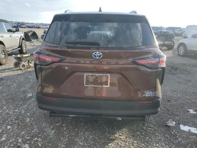 2021 Toyota Sienna XLE