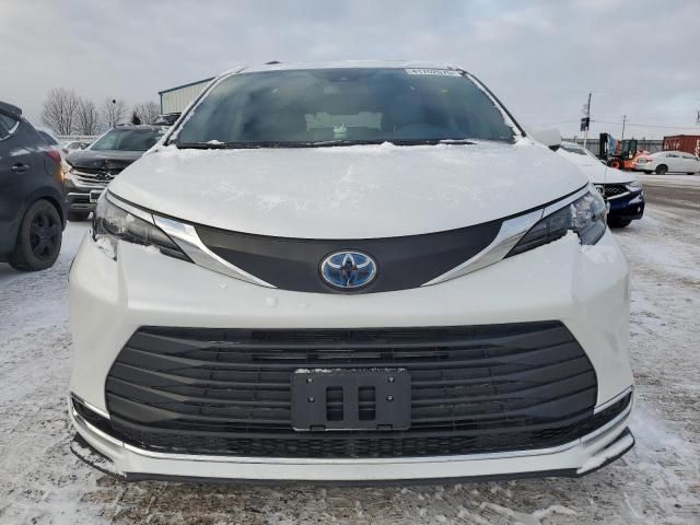 2024 Toyota Sienna LE/XLE