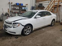 2009 Chevrolet Malibu 1LT for sale in Ham Lake, MN