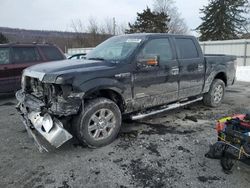 2014 Ford F150 Supercrew for sale in Grantville, PA