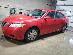 Toyota Camry salvage cars for sale: 2008 Toyota Camry Hybrid