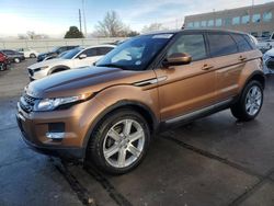 Land Rover salvage cars for sale: 2014 Land Rover Range Rover Evoque Pure Plus