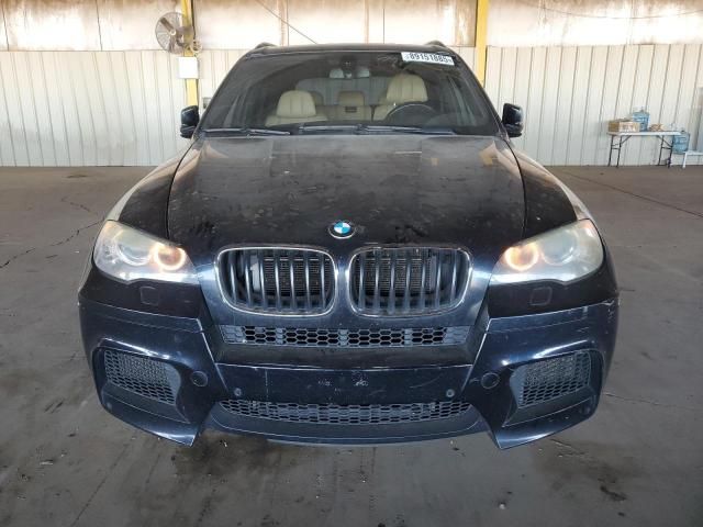 2010 BMW X5 M