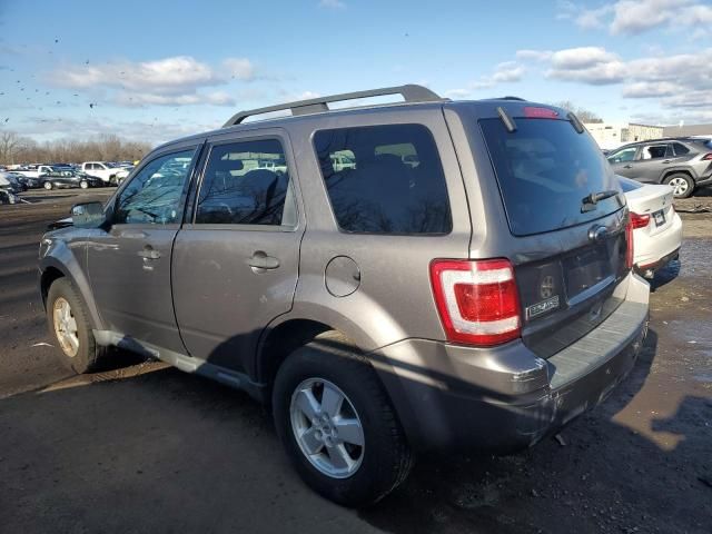 2011 Ford Escape XLT