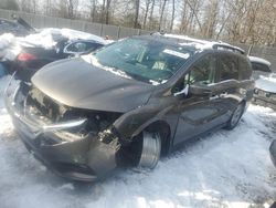 Honda Vehiculos salvage en venta: 2018 Honda Odyssey EXL