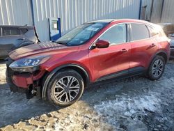 Ford Escape sel salvage cars for sale: 2021 Ford Escape SEL